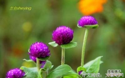 一个四十岁女人的独白