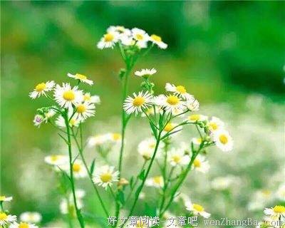 午后情绪