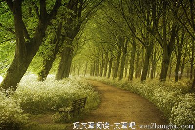 选择（一）