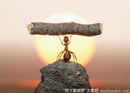 观小动物偶得