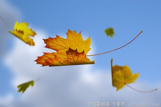 若，我已老去