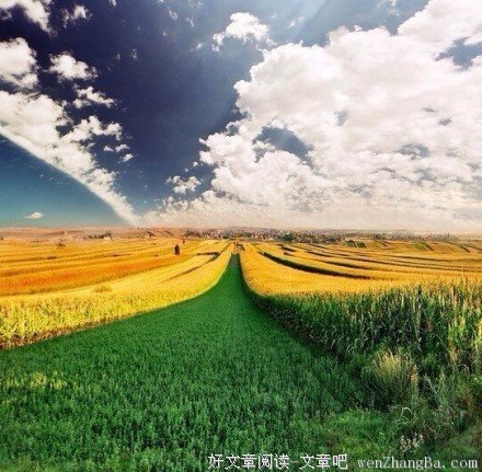 追风（外一首）