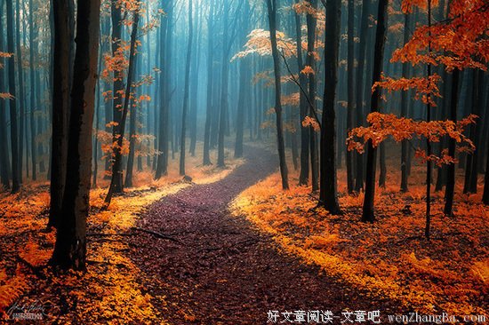 你学会处世了吗？