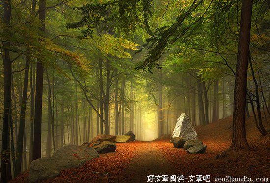 没有一眼到底的人生