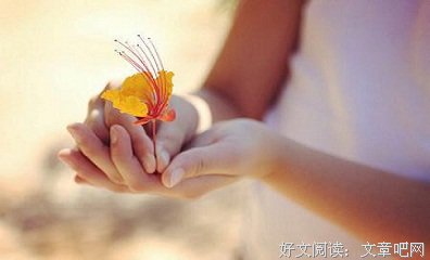 愿各自安好