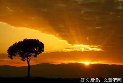 写给老了的自己