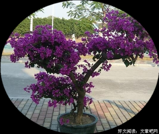 善良，真与生活层次无关