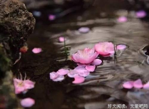 莫让不自信错过爱