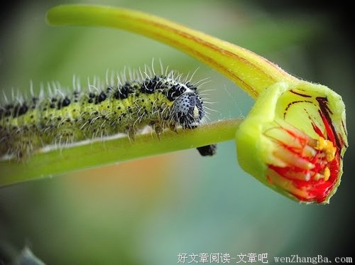 精简出来的精彩
