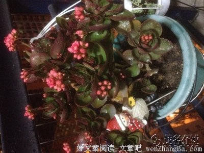 有梦想就不卑微