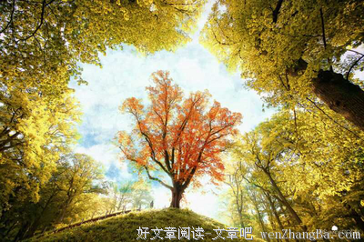 心才是握住阳光最有力的手掌