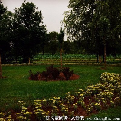 雨停了，天自然就晴了
