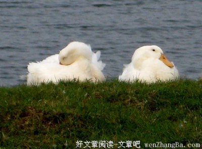 凡事辩证看