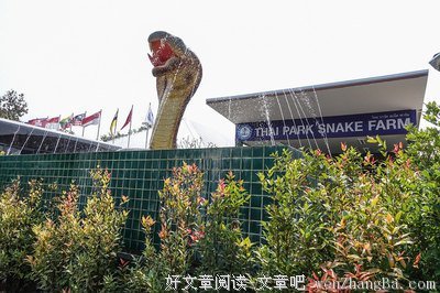 毒蛇自毙的启示