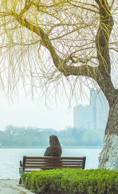一棵树与一个人