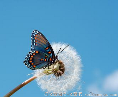 苦过后，方知甜