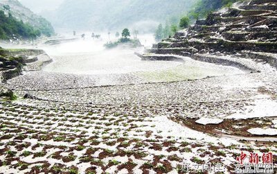 阴影是暂时遭遇障碍的光明