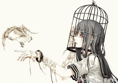 笼里的鸟与笼外的鸟