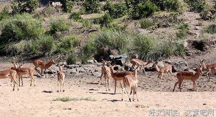 机会常常藏身在什么地方