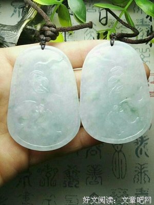 鱼郎鸟的成功之道