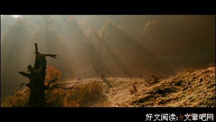 爱是传播，不是占有