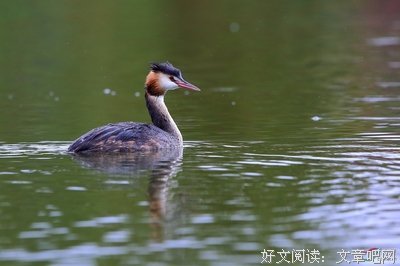 湿衣最是毛毛雨