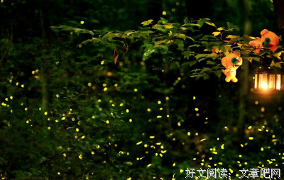 萤火虫的光