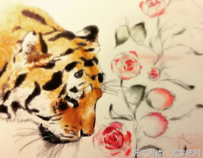 有一只猛虎细嗅着蔷薇（文/纳兰泽芸）