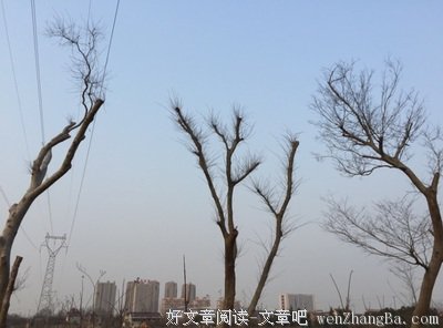 大城小韵