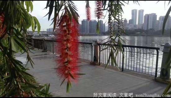 风波，没伤害