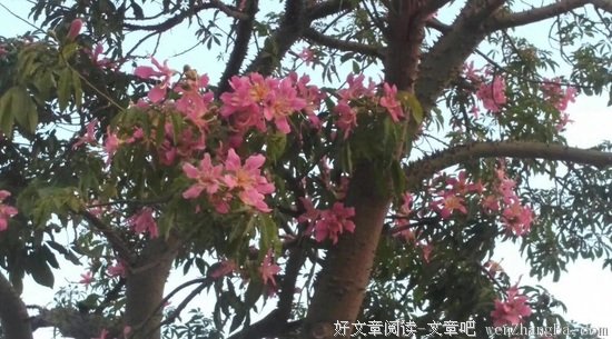孤独站在这舞台
