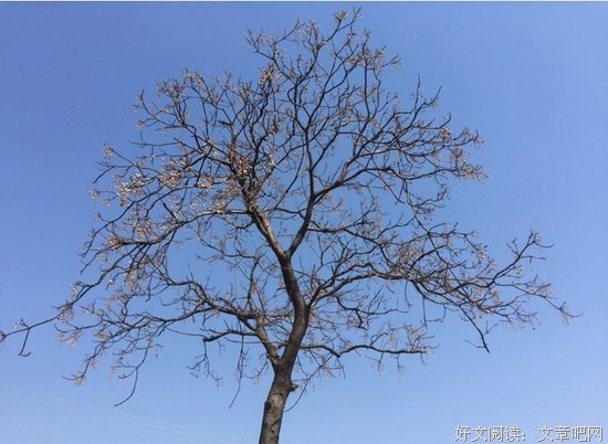 一则新闻泛起的涟漪
