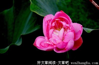 龙桥之旅