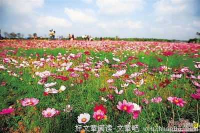 启程海南
