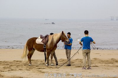  驯马