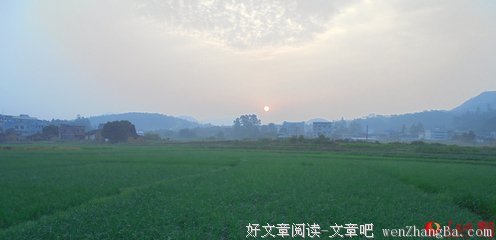 乡村夏日的早晨