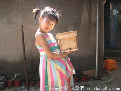 蜂王入群