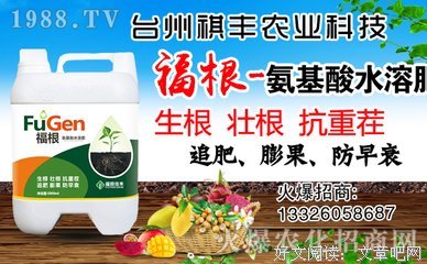  蹲苗有助于生长