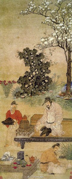 喝茶悟理