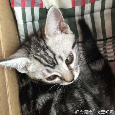 一开始就短了