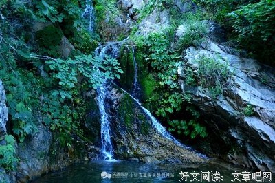 遗憾之美