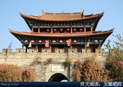 找回自信的小黑狗