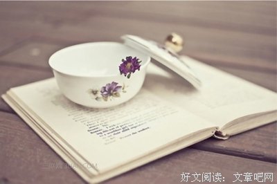 一有机会就扎下根的狗尾草