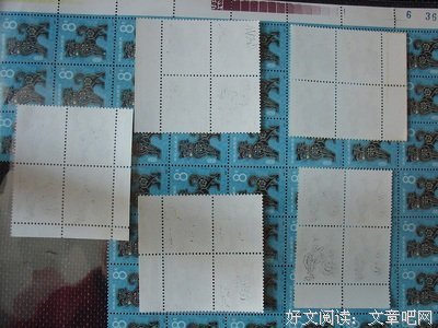 鸡和狗