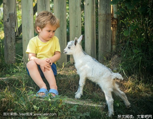 没有朋友的小山羊