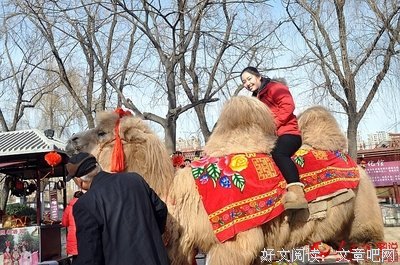 斗鸡之累