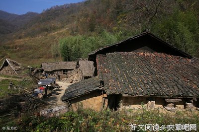 种田的和养牛的