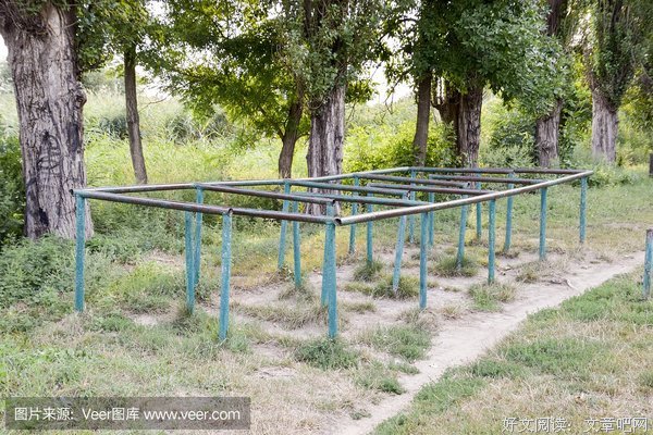 让蛇不敢进到院子里