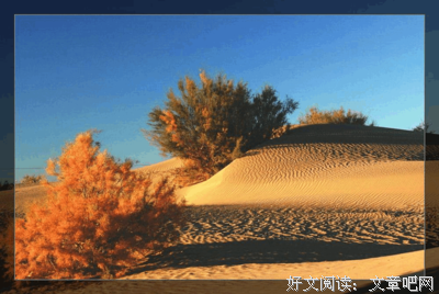 离自己最近的那个人