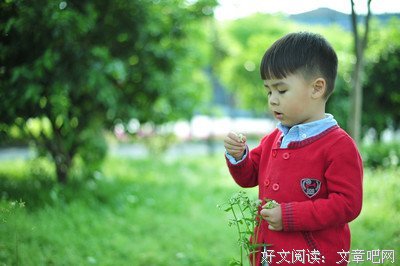 蚊子出名